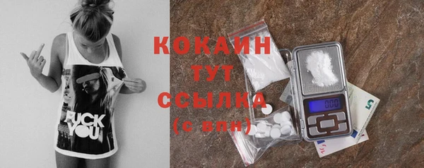 СК Слюдянка